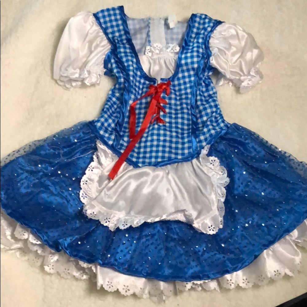 Wizard of Oz “Dorothy” costume